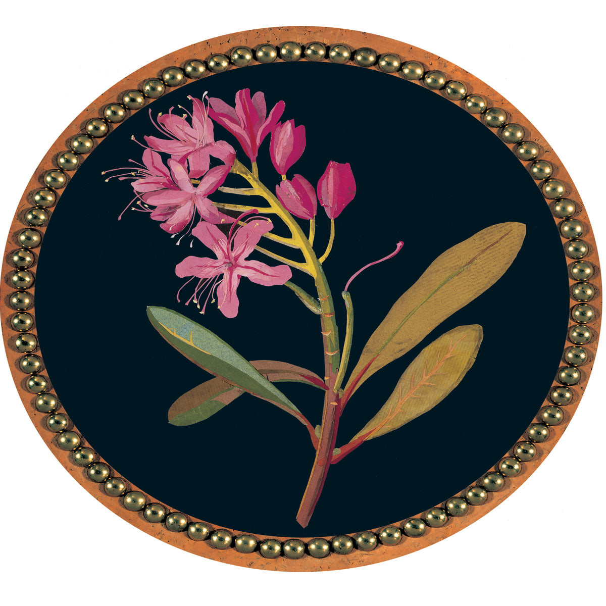 Delany design 4 of 8