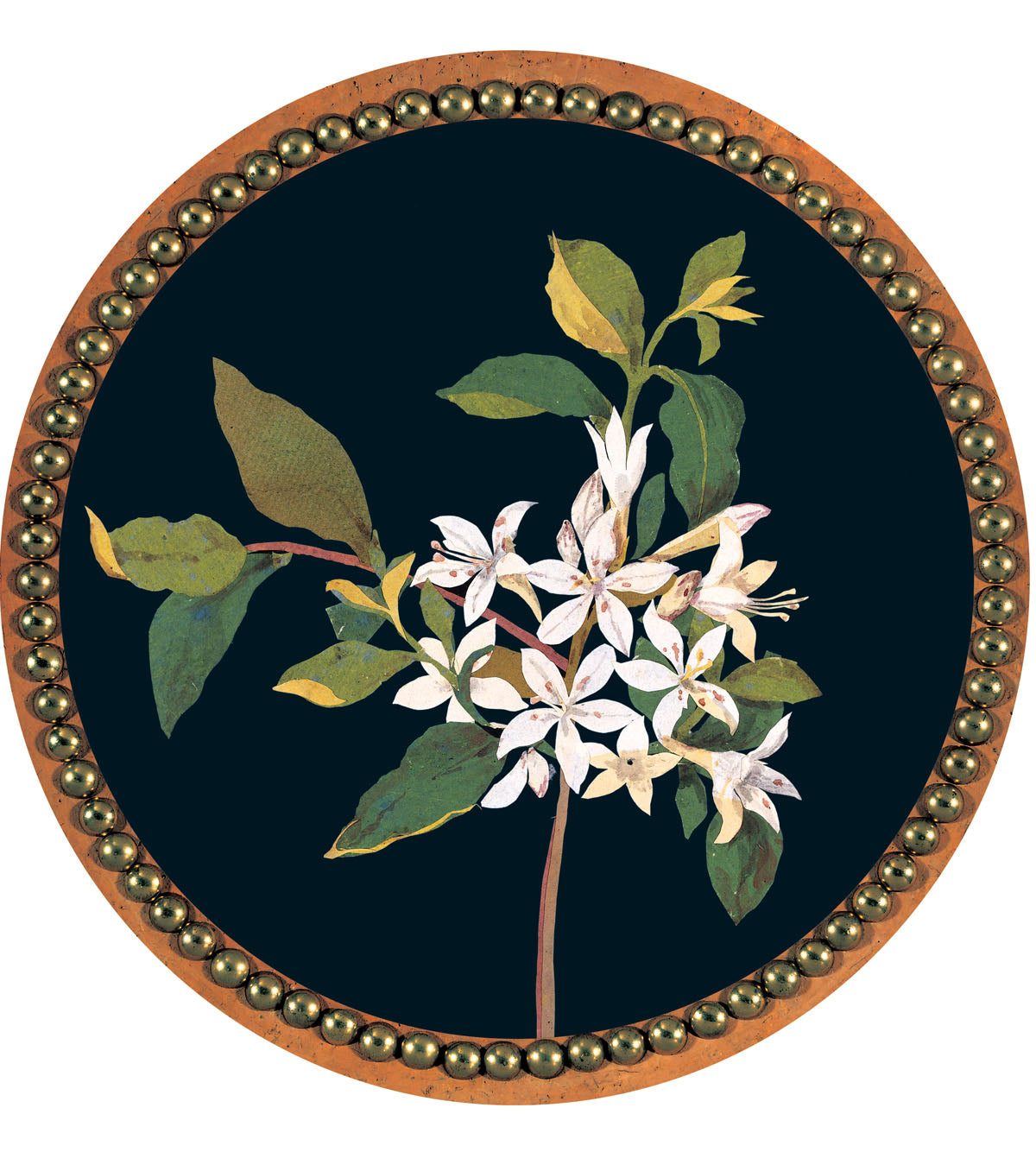 Delany design 6 of 8