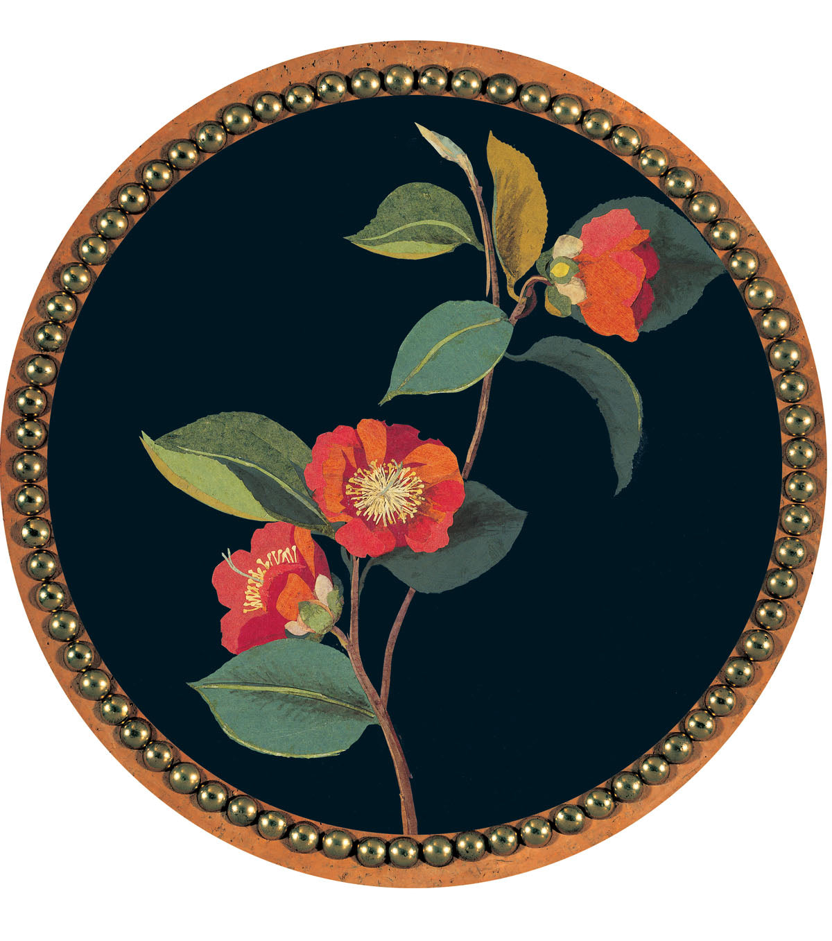 Delany design 8 of 8